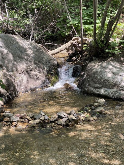 A small stream flows between large rocks, surrounded by greenery and a circle of stones on the water's edge.