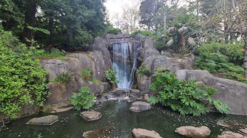 A serene waterfall cascading over rocks into a tranquil pond, surrounded by lush greenery and trees.