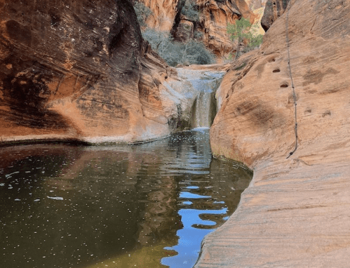 A serene canyon scene featuring a small waterfall cascading into a calm pool surrounded by textured rock formations.