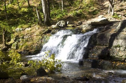 A serene waterfall cascades over rocks, surrounded by lush greenery and autumn leaves in a peaceful forest setting.