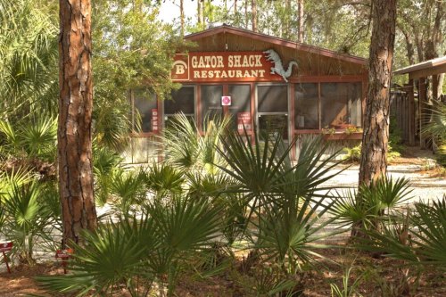 A rustic restaurant called "Gator Shack" surrounded by trees and palm plants in a natural setting.