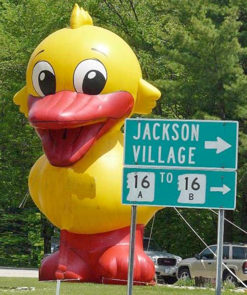 A large, smiling yellow duck balloon stands next to a directional sign for Jackson Village.