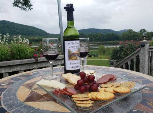 A wine bottle and two glasses sit on a table with a platter of cheese, crackers, grapes, and salami, overlooking a scenic view.