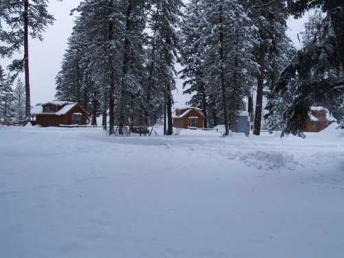 Snow-covered landscape with wooden cabins nestled among tall pine trees in a winter setting.