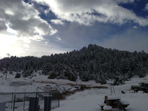 Snow-covered mountains under a cloudy sky, with a foreground of trees and a fenced area.