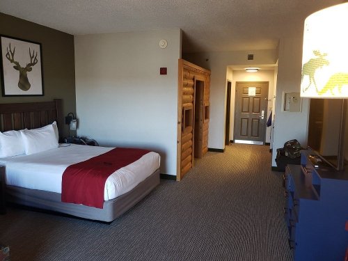A cozy hotel room featuring a bed, wooden accents, a door to a cabin-style area, and a lamp with a moose design.