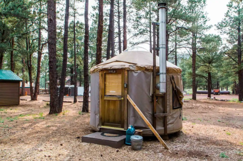 A cozy yurt nestled among tall pine trees, featuring a wooden door and a chimney, set in a natural outdoor environment.
