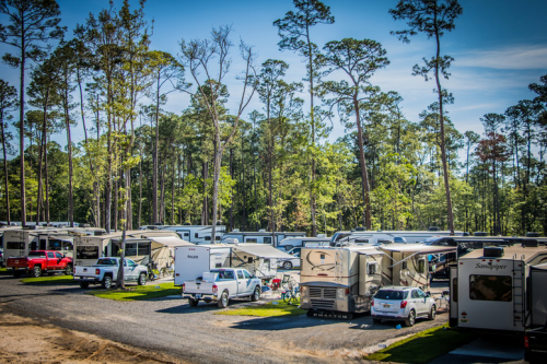 A campsite with several RVs and cars parked among tall trees under a clear blue sky.