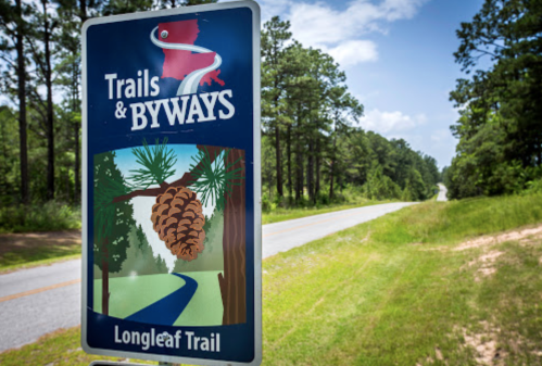Sign for Longleaf Trail with a pine cone graphic, set against a backdrop of trees and a winding road.