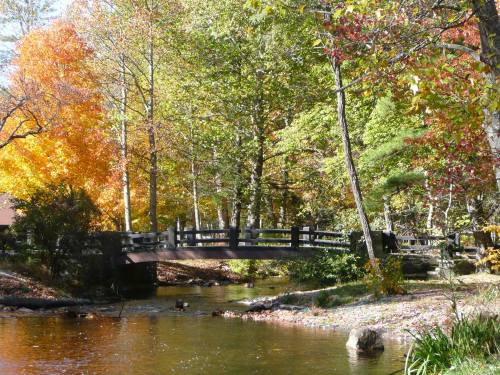 A serene scene of a wooden bridge over a calm stream, surrounded by vibrant autumn foliage.