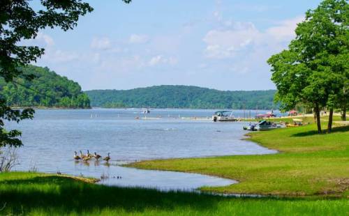 A serene lake scene with geese on the shore, surrounded by green trees and distant hills under a blue sky.