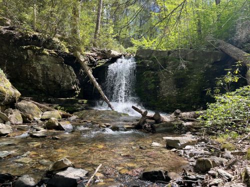 A serene waterfall cascades over rocks into a clear stream, surrounded by lush green trees and foliage.