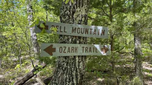 Wooden signpost in a forest pointing to "Bell Mountain" and "Ozark Trail," surrounded by green foliage.