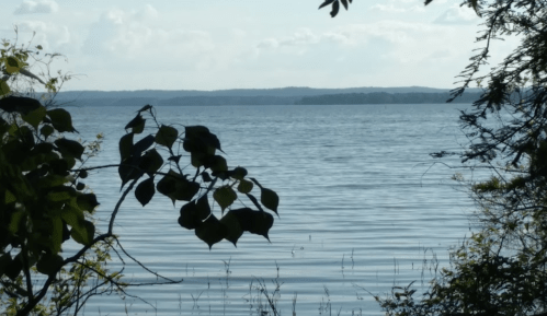 A serene view of a calm lake surrounded by trees and distant hills under a clear sky.