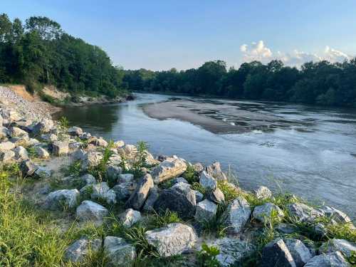 A serene riverbank scene with rocky shores, lush greenery, and calm water under a clear blue sky.