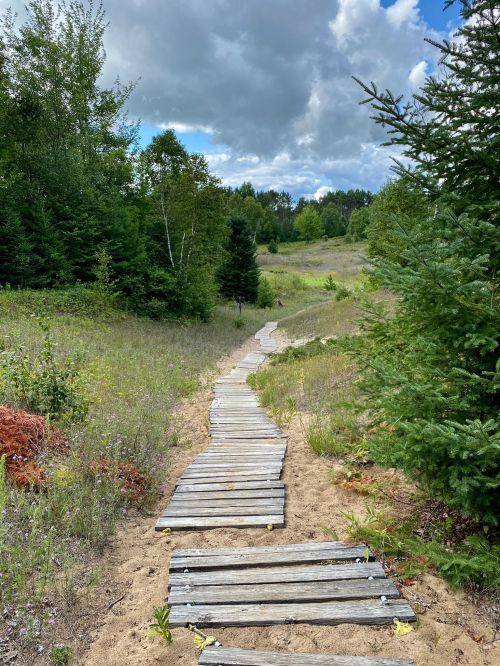 A wooden path winds through a grassy area surrounded by trees under a partly cloudy sky.