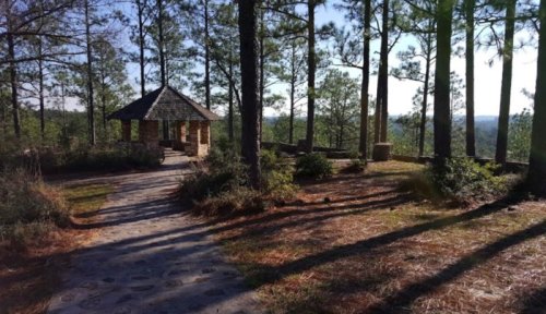 A stone gazebo surrounded by tall pine trees and a winding path in a serene outdoor setting.