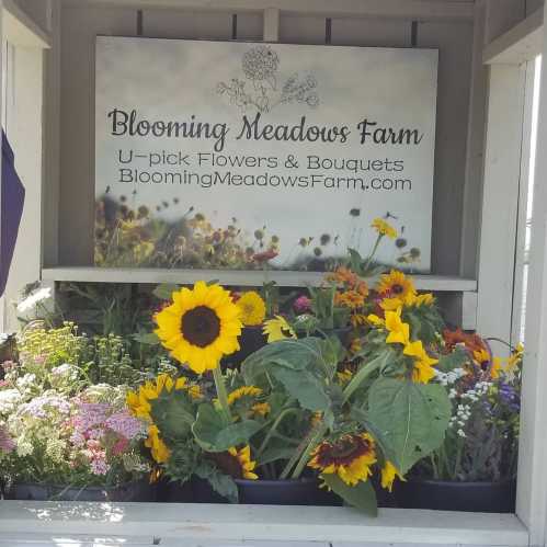 A flower stand with a sign for Blooming Meadows Farm, featuring sunflowers and various colorful blooms.