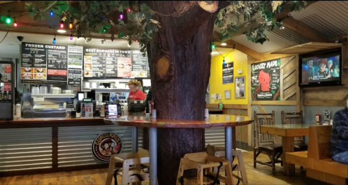 A cozy restaurant interior featuring a large tree, a counter with a menu, and colorful lights.