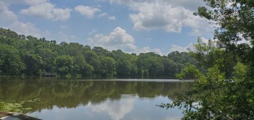 A serene lake surrounded by lush green trees under a partly cloudy sky. Reflections shimmer on the water's surface.