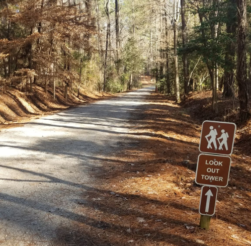 A gravel path through a wooded area, with a sign pointing to a lookout tower and hikers.