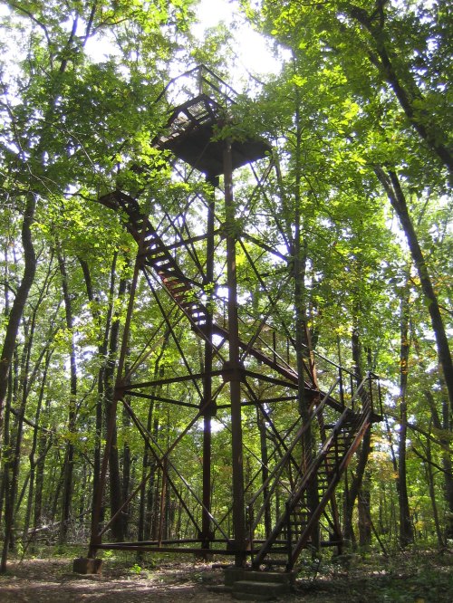 A tall, rusted observation tower surrounded by dense green trees in a forested area.