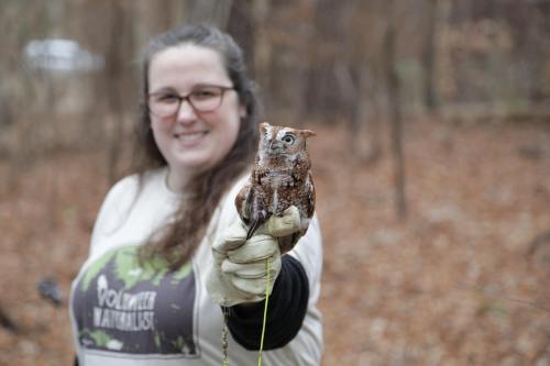 A person in a forest holds a small owl, wearing gloves and a shirt with a nature-themed logo.