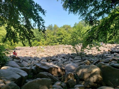 A rocky landscape surrounded by trees, with people exploring the area under a clear blue sky.