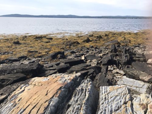 Rocky shoreline with seaweed and calm water, extending to distant hills under a clear sky.