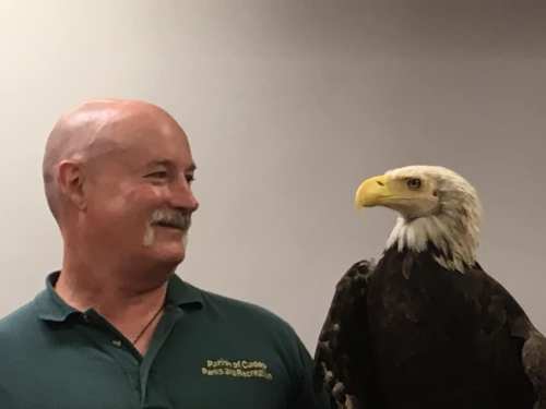 A man smiles at a bald eagle perched on his arm, both looking at each other in a friendly manner.