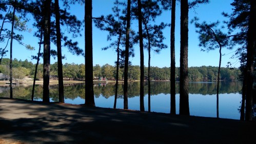 A serene lake surrounded by tall trees, reflecting the clear blue sky and lush greenery on the water's surface.