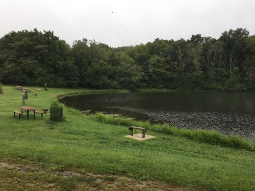 A serene lake surrounded by lush greenery, with benches and picnic tables along the grassy shore.
