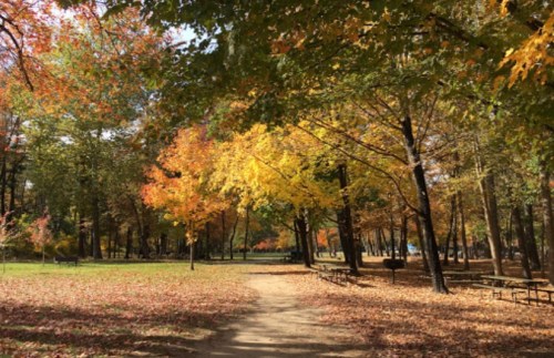 A serene park path lined with vibrant autumn trees in shades of yellow, orange, and red, with fallen leaves on the ground.