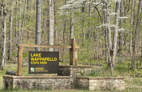 Sign for Lake Wappapello State Park surrounded by lush green trees and blooming flowers in a forested area.