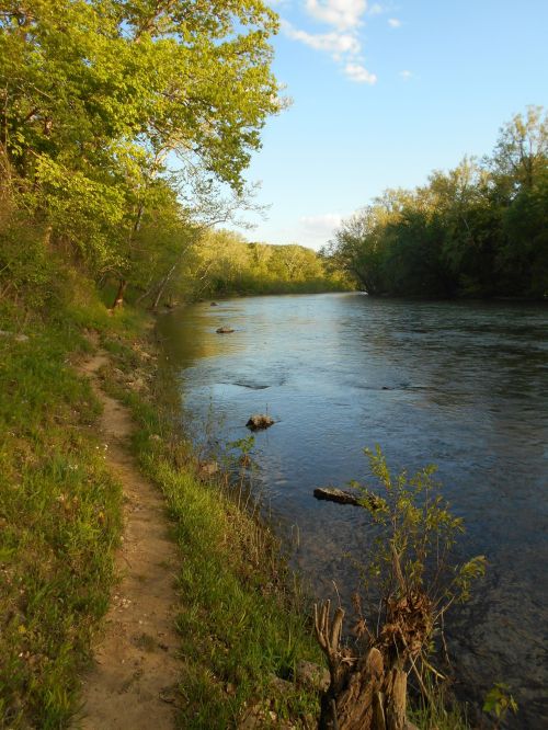 A serene riverbank scene with a winding path, lush greenery, and calm water reflecting the sky.