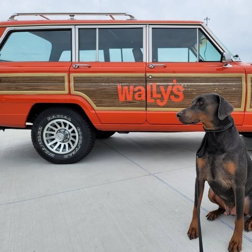 A Doberman sits beside a vintage orange station wagon with wood paneling, featuring the name "Wally's" on the side.