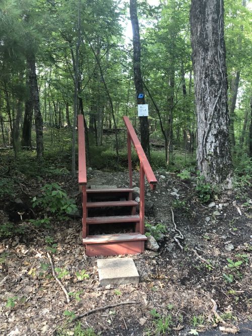 A red wooden staircase leads into a lush green forest, surrounded by trees and rocks.
