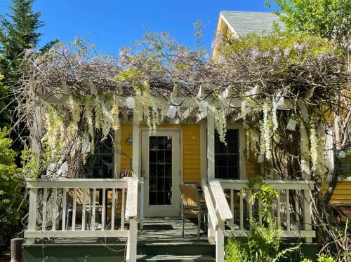 A charming yellow house with a porch covered in flowering vines and a clear blue sky above.