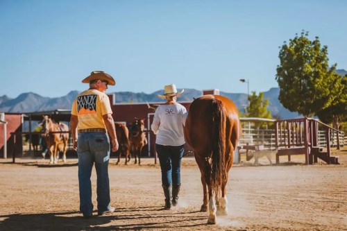 A man and woman walk alongside a horse in a ranch setting, with mountains in the background and a clear blue sky.