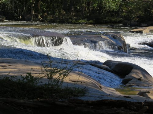 A serene river flows over smooth rocks, surrounded by lush greenery and dappled sunlight.