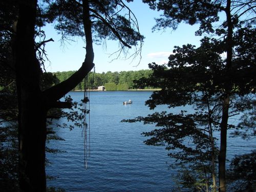 A serene lake view framed by trees, with a small boat on the water under a clear blue sky.