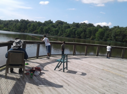 Four people fishing from a wooden dock by a calm lake, surrounded by lush greenery and a clear blue sky.