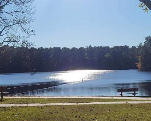 A serene lake reflecting sunlight, surrounded by trees, with a bench and a dock in the foreground.