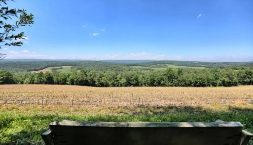 A scenic view of rolling hills and fields under a clear blue sky, seen from a wooden bench.