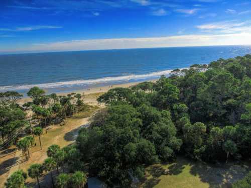 Aerial view of a beach with gentle waves, surrounded by lush greenery and palm trees under a clear blue sky.