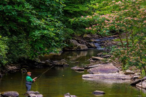 A person fishing in a serene stream surrounded by lush greenery and blooming trees.