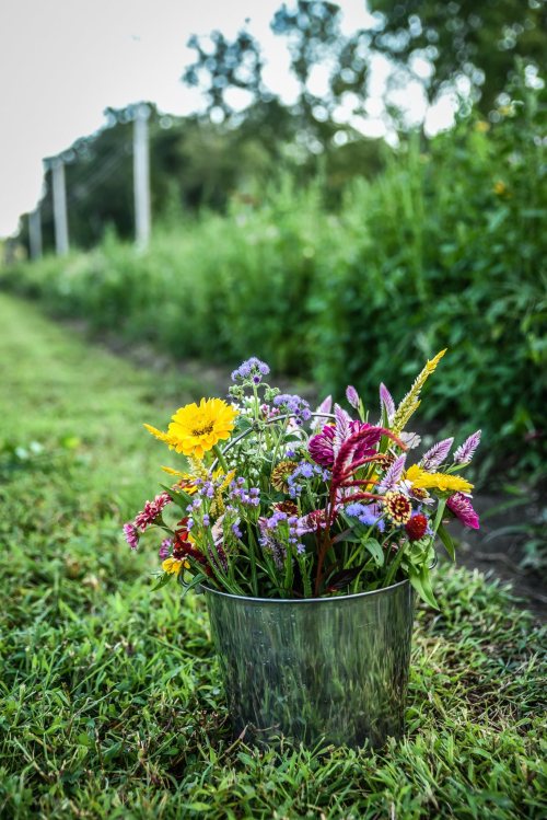 A bucket filled with colorful wildflowers sits on green grass beside a garden path.