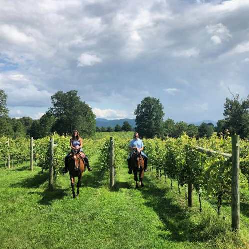 Two people on horseback ride through a vineyard, surrounded by lush greenery and a cloudy sky.