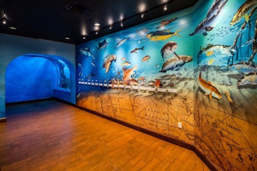 A vibrant mural of marine life on a wall in an aquarium, with an arched entrance to a blue-lit area.