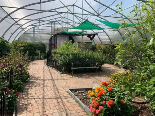 A bright greenhouse filled with lush plants and colorful flowers, featuring a winding brick path and green shade cloth.